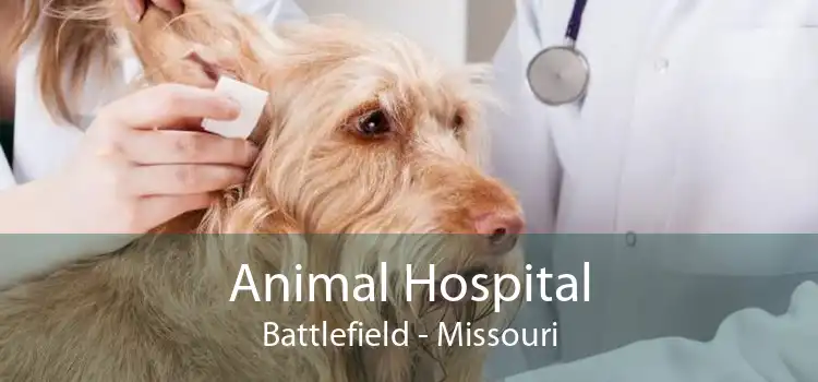 Animal Hospital Battlefield - Missouri