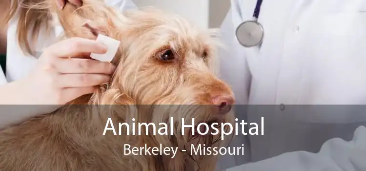 Animal Hospital Berkeley - Missouri