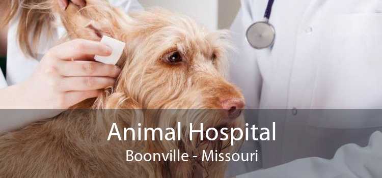 Animal Hospital Boonville - Missouri