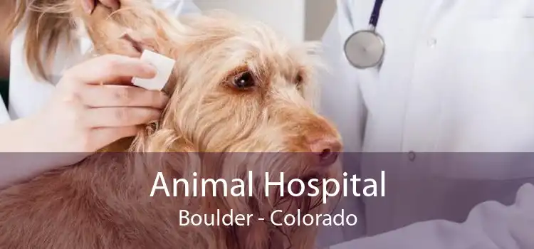 Animal Hospital Boulder - Colorado