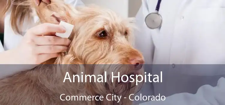 Animal Hospital Commerce City - Colorado