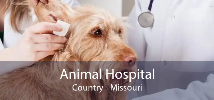 Animal Hospital Country - Missouri