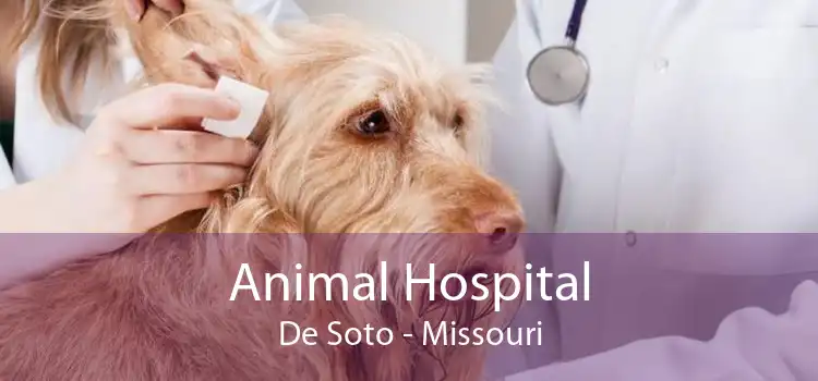 Animal Hospital De Soto - Missouri