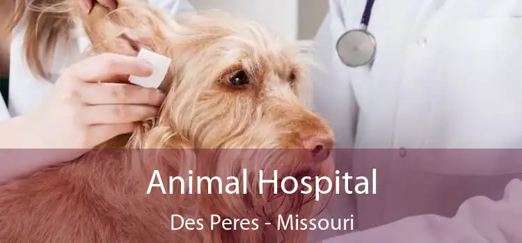 Animal Hospital Des Peres - Missouri