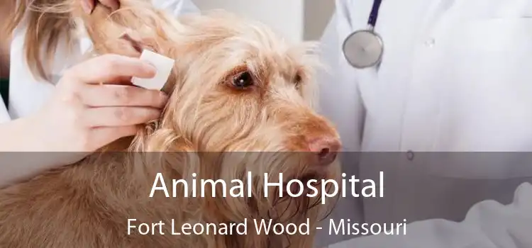 Animal Hospital Fort Leonard Wood - Missouri