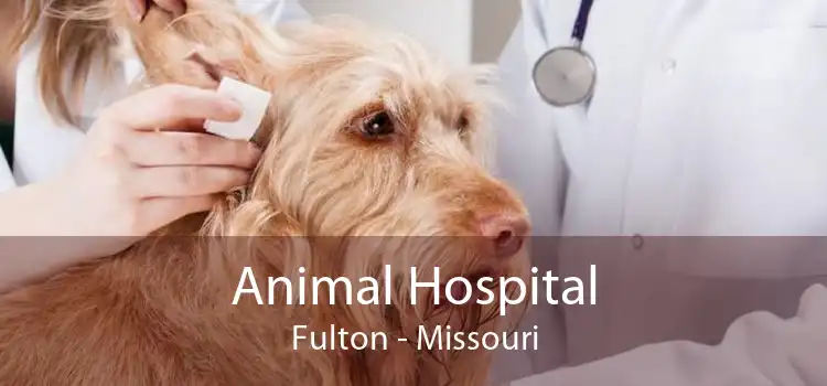 Animal Hospital Fulton - Missouri