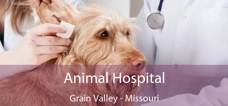 Animal Hospital Grain Valley - Missouri