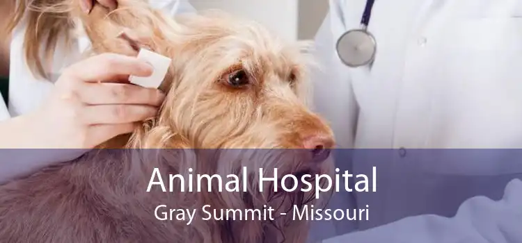 Animal Hospital Gray Summit - Missouri