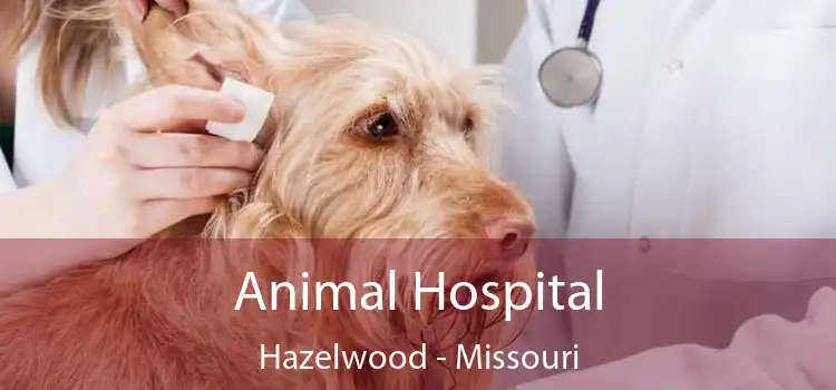 Animal Hospital Hazelwood - Missouri