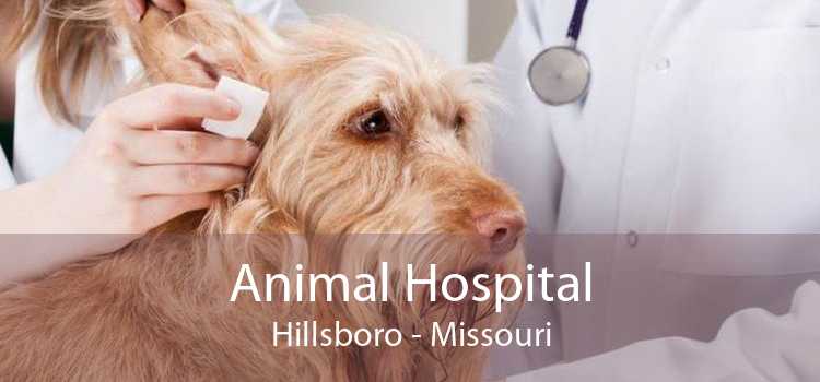 Animal Hospital Hillsboro - Missouri