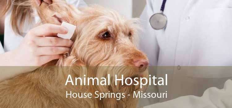 Animal Hospital House Springs - Missouri