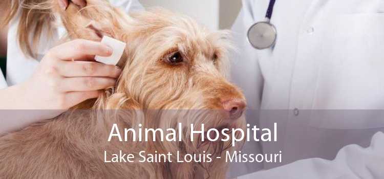 Animal Hospital Lake Saint Louis - Missouri