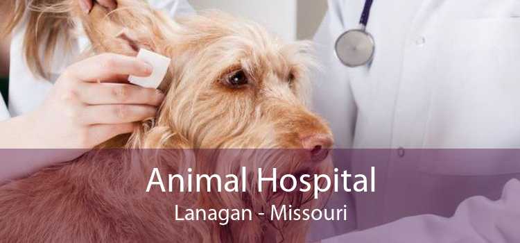 Animal Hospital Lanagan - Missouri