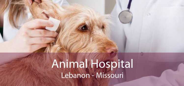 Animal Hospital Lebanon - Missouri