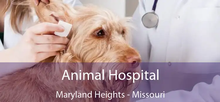 Animal Hospital Maryland Heights - Missouri