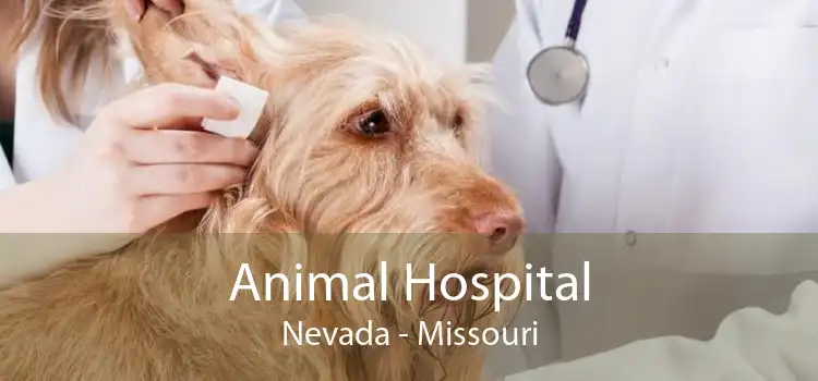 Animal Hospital Nevada - Missouri
