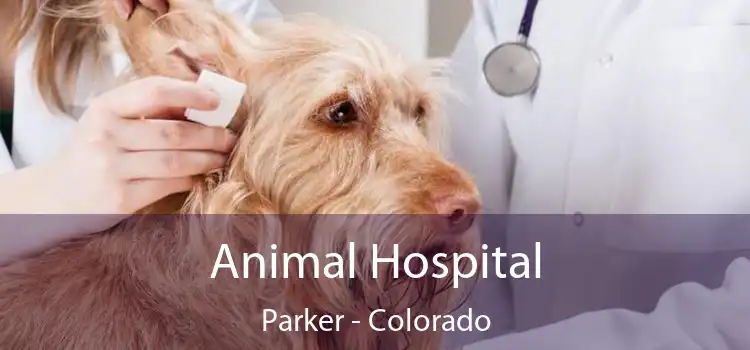 Animal Hospital Parker - Colorado