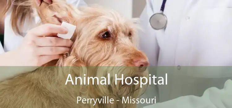 Animal Hospital Perryville - Missouri