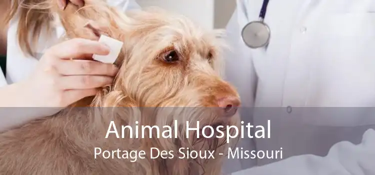 Animal Hospital Portage Des Sioux - Missouri