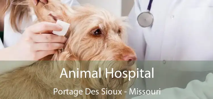 Animal Hospital Portage Des Sioux - Missouri