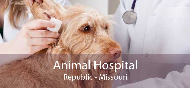 Animal Hospital Republic - Missouri