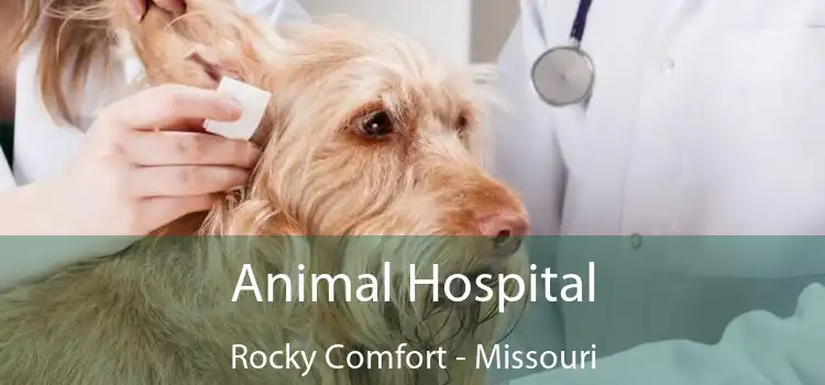 Animal Hospital Rocky Comfort - Missouri