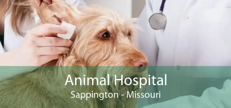 Animal Hospital Sappington - Missouri