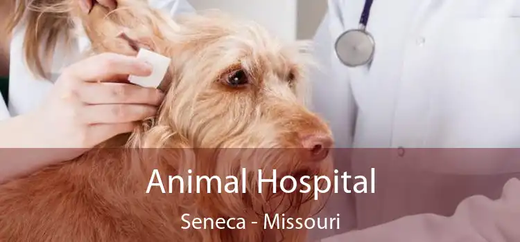 Animal Hospital Seneca - Missouri