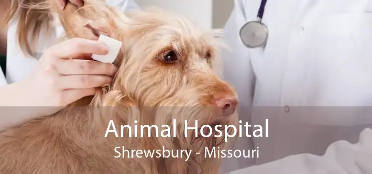 Animal Hospital Shrewsbury - Missouri