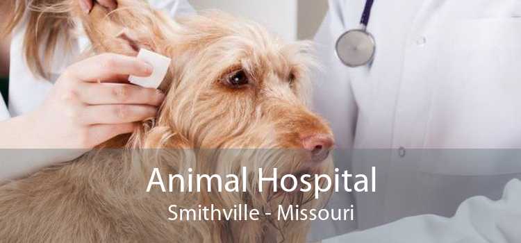 Animal Hospital Smithville - Missouri