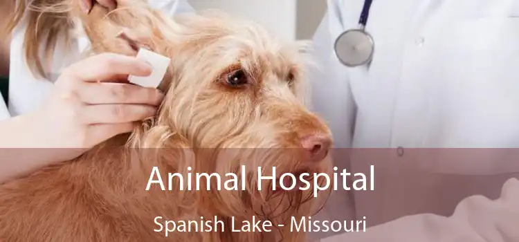 Animal Hospital Spanish Lake - Missouri