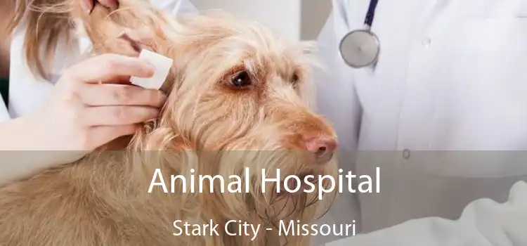 Animal Hospital Stark City - Missouri