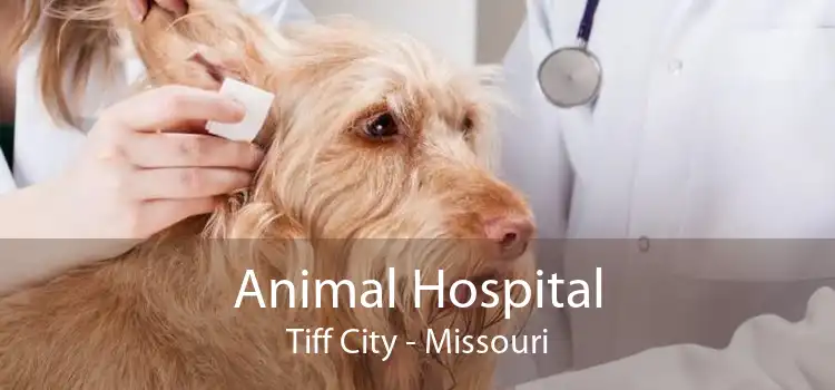 Animal Hospital Tiff City - Missouri