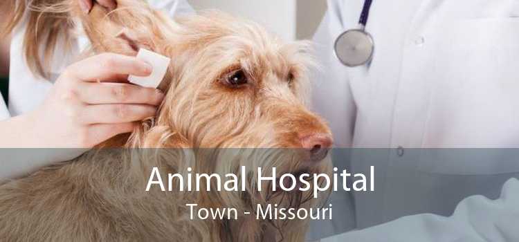 Animal Hospital Town - Missouri