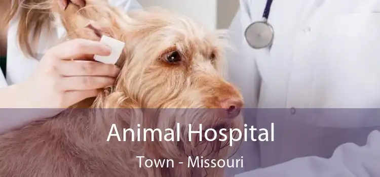 Animal Hospital Town - Missouri