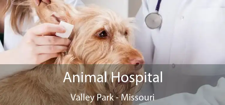 Animal Hospital Valley Park - Missouri