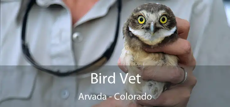Bird Vet Arvada - Colorado