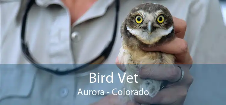 Bird Vet Aurora - Colorado