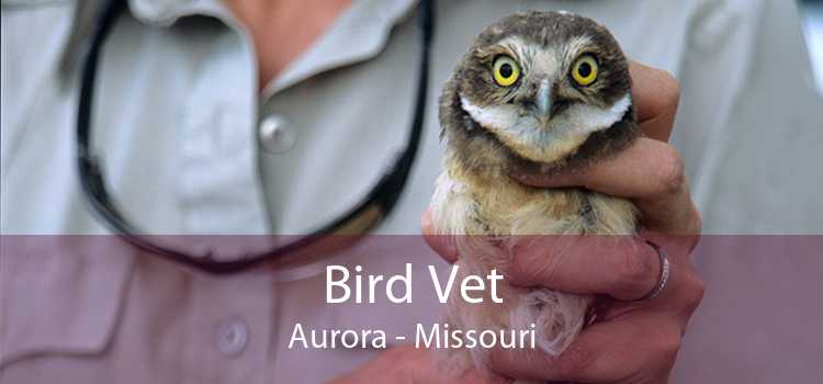 Bird Vet Aurora - Missouri