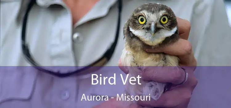 Bird Vet Aurora - Missouri