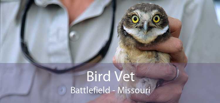 Bird Vet Battlefield - Missouri
