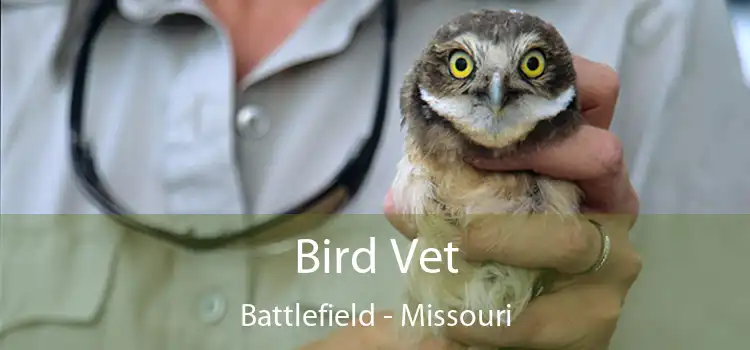 Bird Vet Battlefield - Missouri