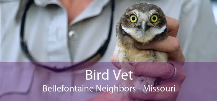 Bird Vet Bellefontaine Neighbors - Missouri
