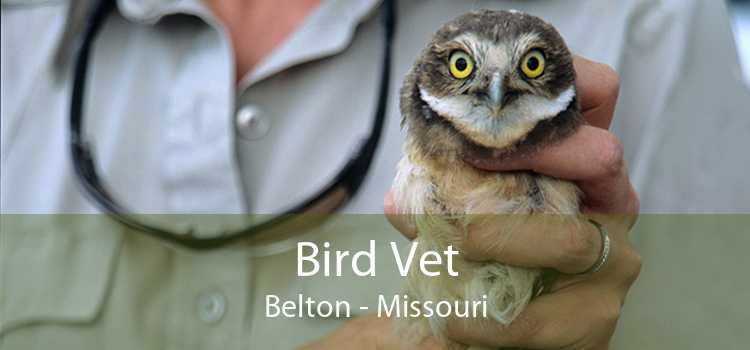 Bird Vet Belton - Missouri