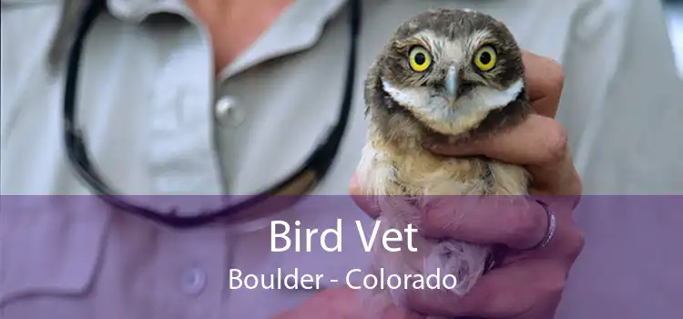 Bird Vet Boulder - Colorado