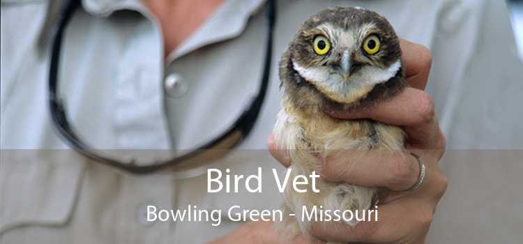 Bird Vet Bowling Green - Missouri