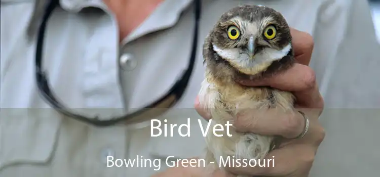 Bird Vet Bowling Green - Missouri