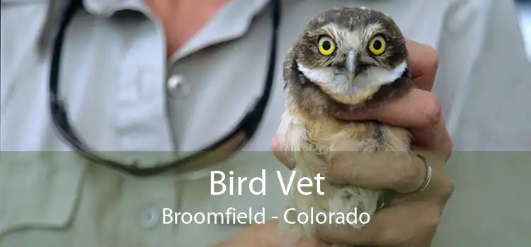 Bird Vet Broomfield - Colorado