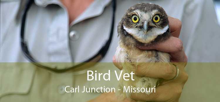 Bird Vet Carl Junction - Missouri