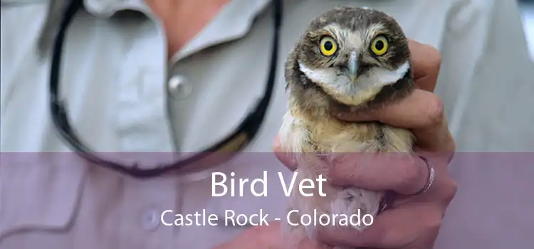 Bird Vet Castle Rock - Colorado
